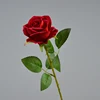 rosso scuro