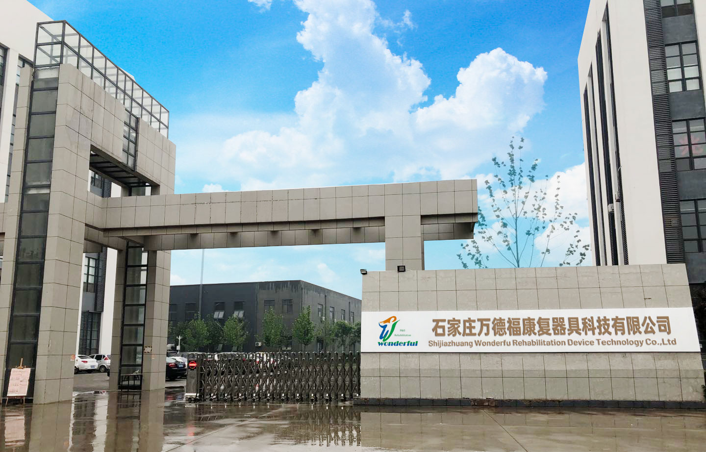 Chinese Manufacturers' Class I Interventional Materials Double Hydraulic Knee Joint Artificial Limb Prosthesis Implantable for