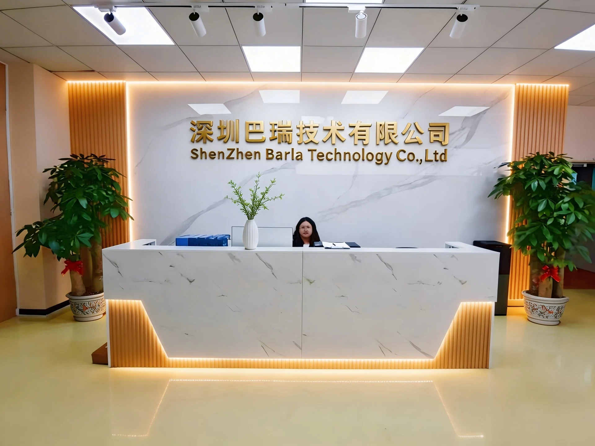 Shenzhen Baria Technology Co., Ltd. 1