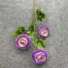 Ranunculus 5