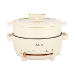 High Quality 3L 4L Mult Plastic Electric Cooking Pot with Heating Adjustment Stoves for Portable Home Appliances