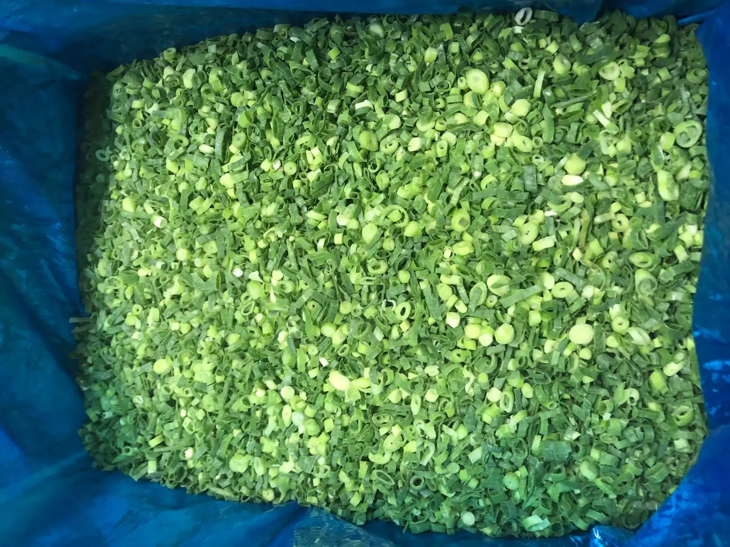 High Quality China Supplier IQF Vegetables Bulk 10kg IQF Frozen Spring Onion