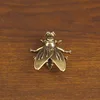 แมลงวันตัวใหญ่สีสันสดใส