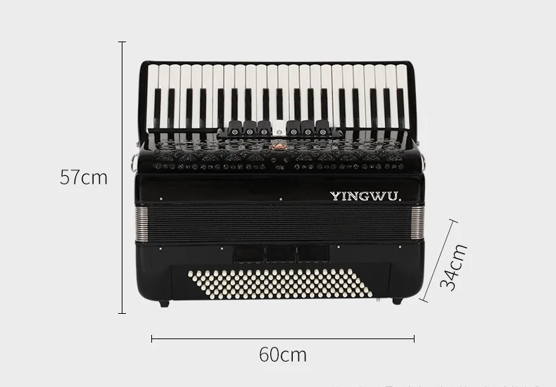 Piano Accordion - A True Parrot 41 Keys, 120 Bass Instrument