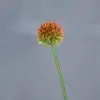 Arancione
