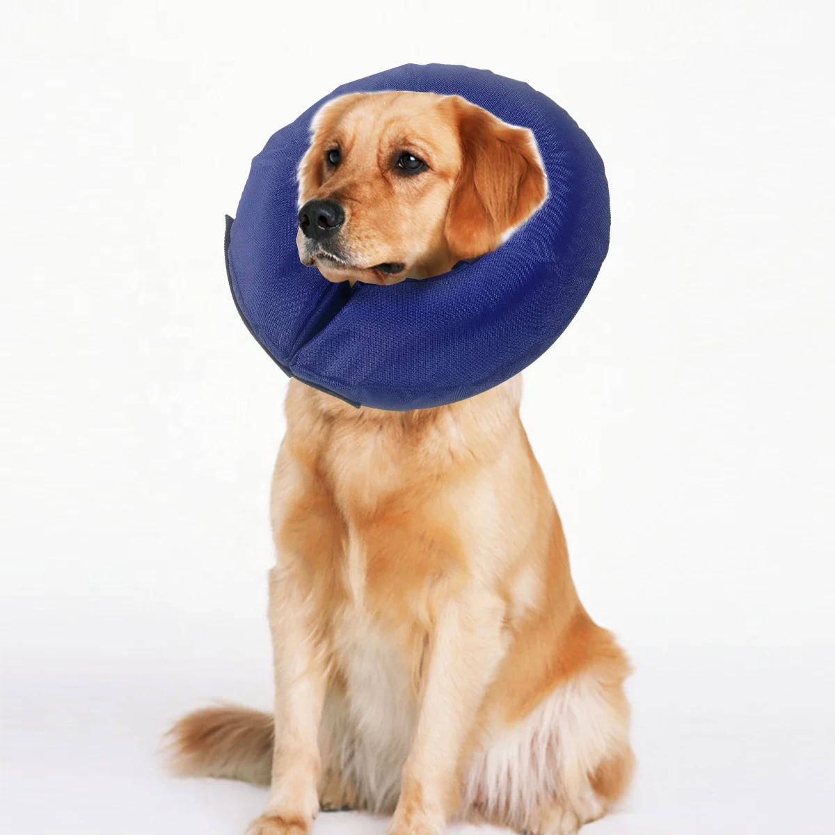 amazon inflatable dog collar