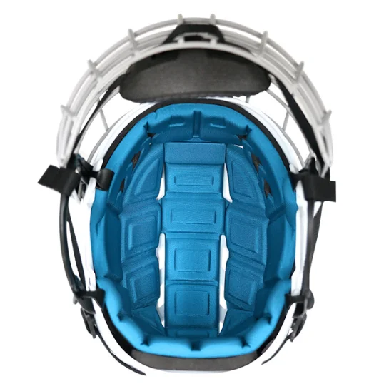 アイシールド付きアイスホッケーゴールキーパーヘルメット360度