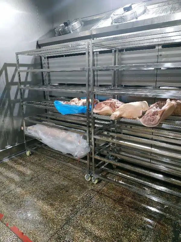 Automatic low-temperature meat thawing machine with circulating air system for meat processing plants