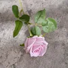 สีชมพู