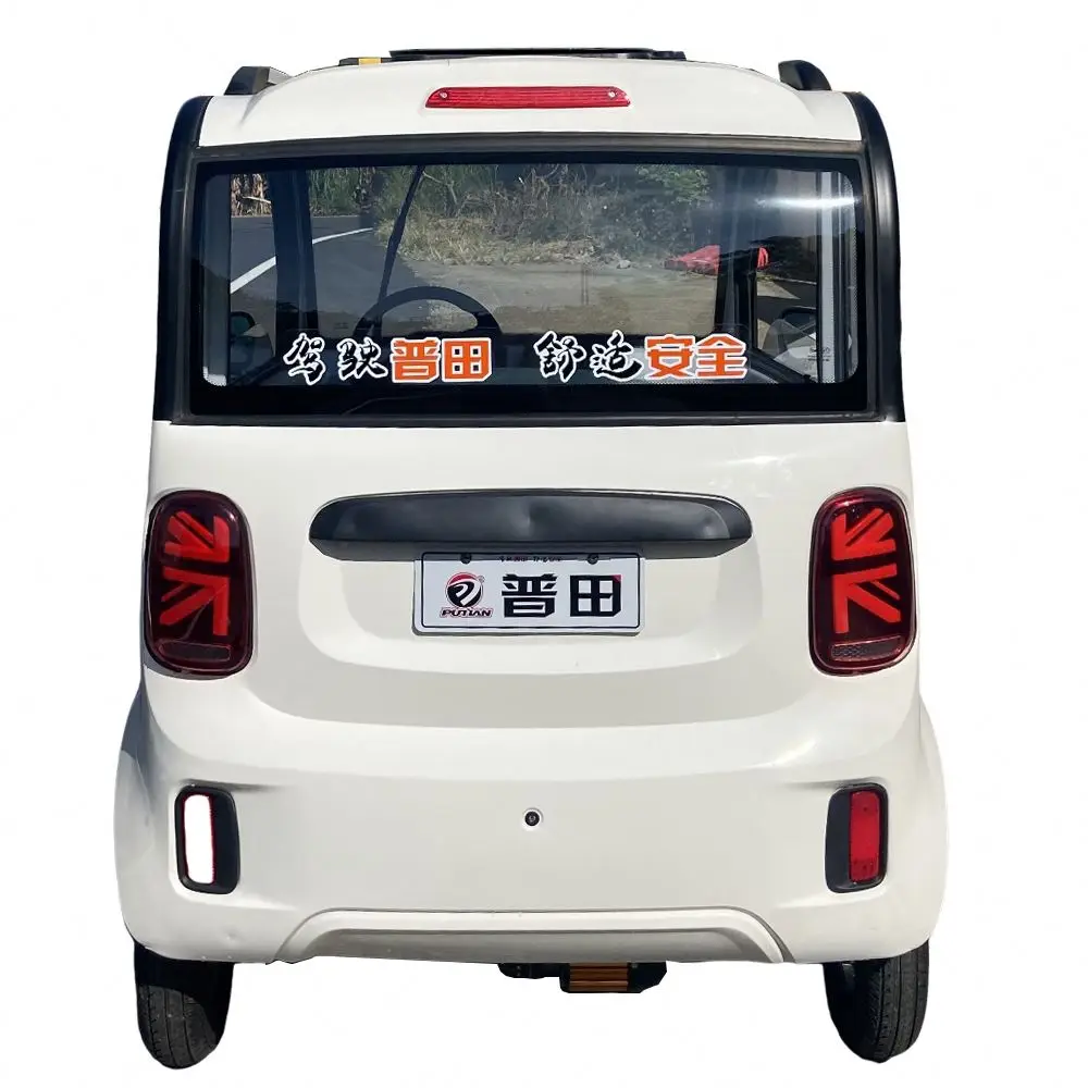 Brand New High Speed Adult Small Car for Disabled Person Electric Vehicle