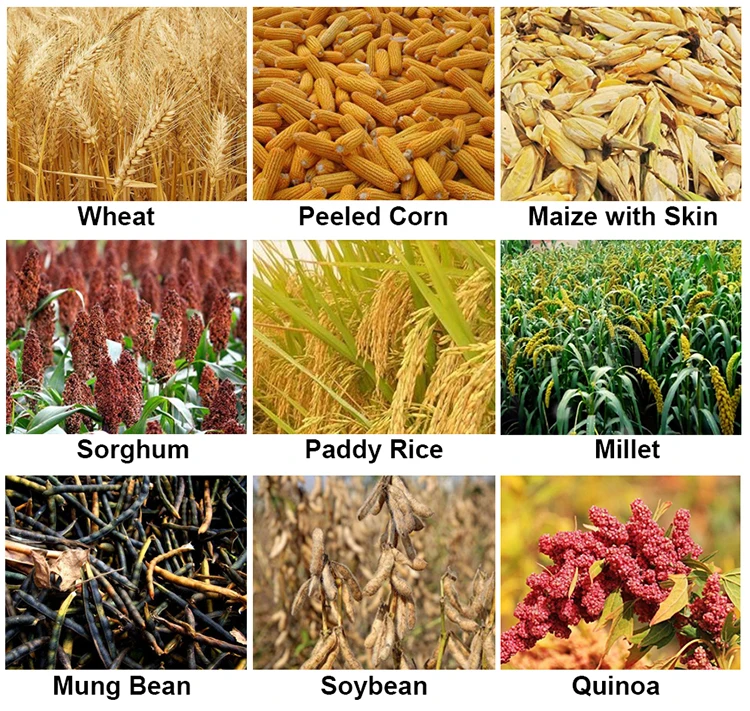 Multi Function Small Portable Electric Sorghum Soybean Multi Crop Paddy Rice Wheat Maize Peeler Corn Sheller Thresher Machine
