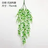White and green (5-forked eucalyptus vine)