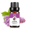clove