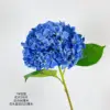 11 # azul