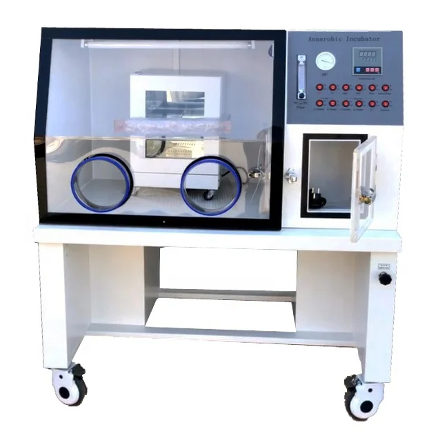 Lowest Price Anaerobic Chamber Box / Laboratory Anaerobic Incubator / Anaerobic Microaerobic System