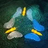 butterfly 2