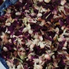 coriandoli 6: rosa+prugna rossa+petali viola