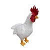 Avorio