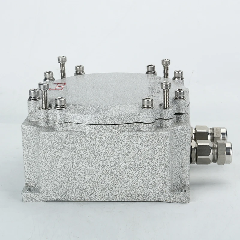 Hazardous Area Stainless Steel Terminal Box Explosion-proof Junction Box Exd IIC