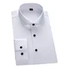 colletto bianco-windsor