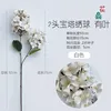 Two-headed pagoda hydrangea with leaves, white