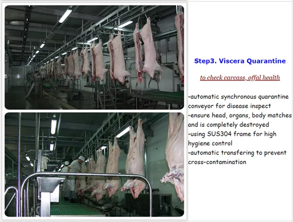 Complete pig slaughterhouse equipment for pork slaughterhouse meat processing and meat production