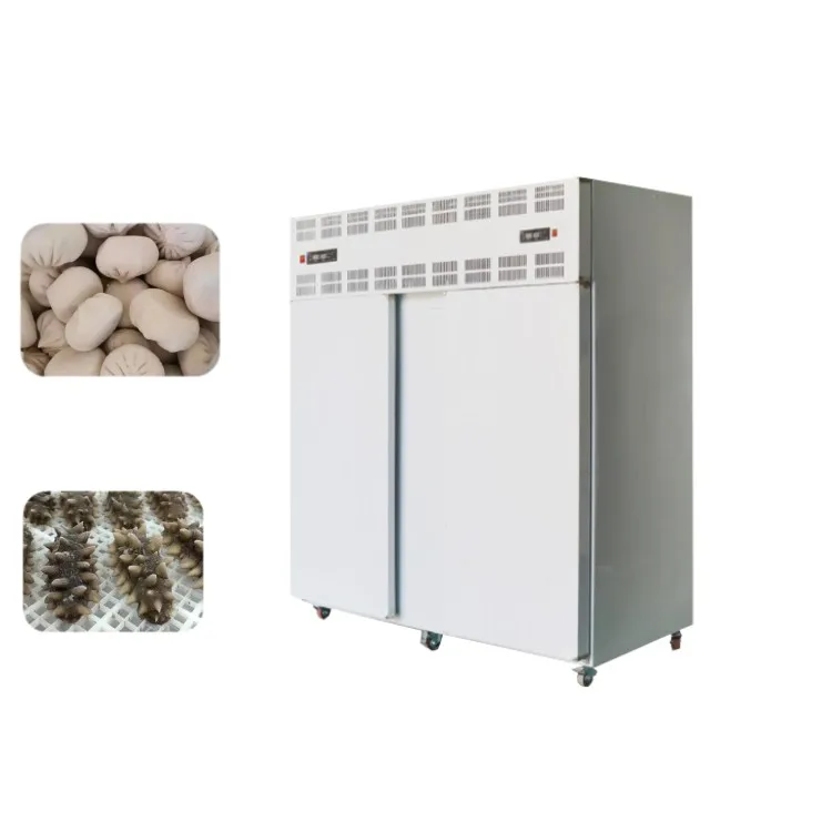 High Output  Minus 50 Degrees Celsius Blast Freezer Conveyor Foshan