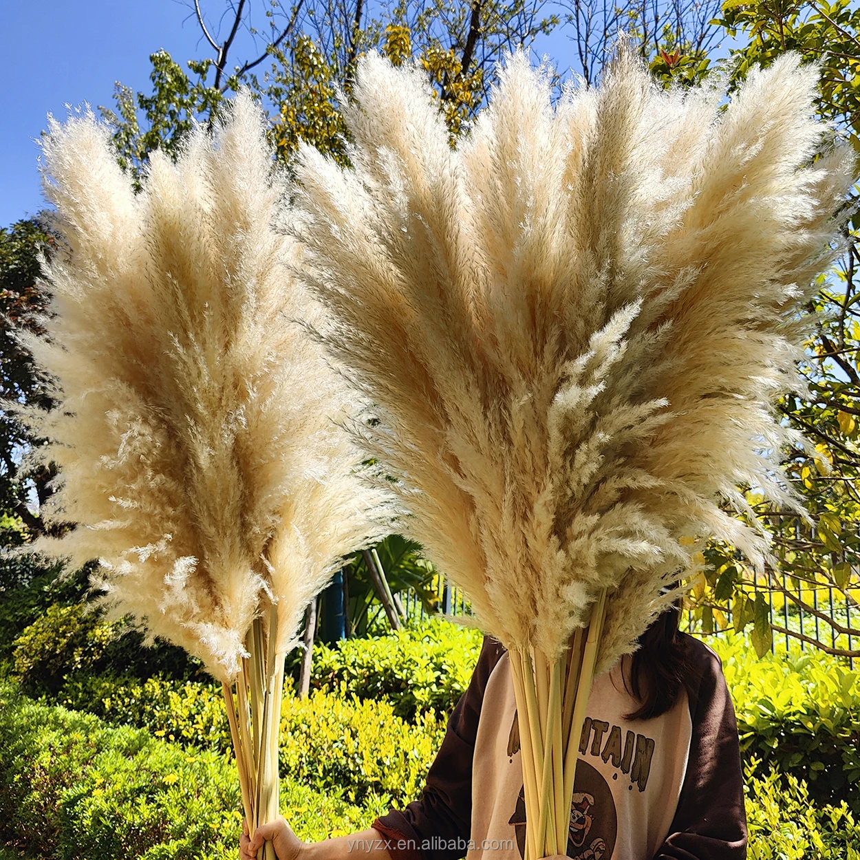 Wholesales Pampas Grass 120cm For Decoration Fluffy Reed Large Tall