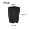 Nero grande