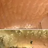 Champagne