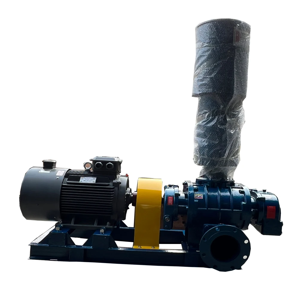 Pond underwater aerator air pump ຟາມປາ aeration ຮາກ blower ສໍາລັບ recirculating ລະບົບການລ້ຽງສັດນ້ໍາ
