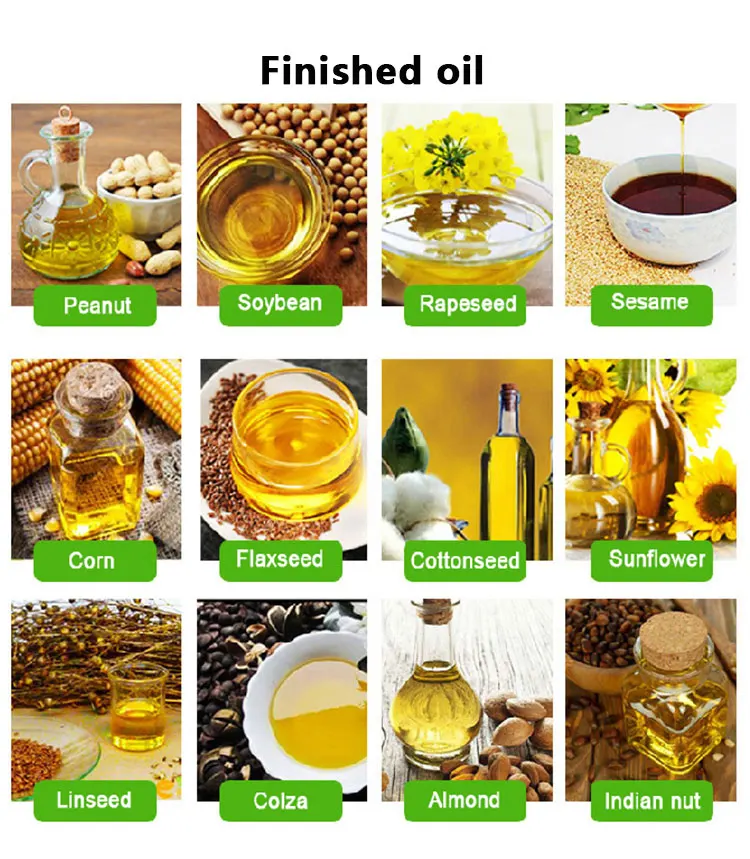 Mini Ground Nut Oil Pressing Machine Mustard Cooking Oil Machine Making for Sun Flower