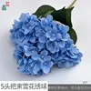 Paquete de 5 cabezas de hortensia copo de nieve WY Blue