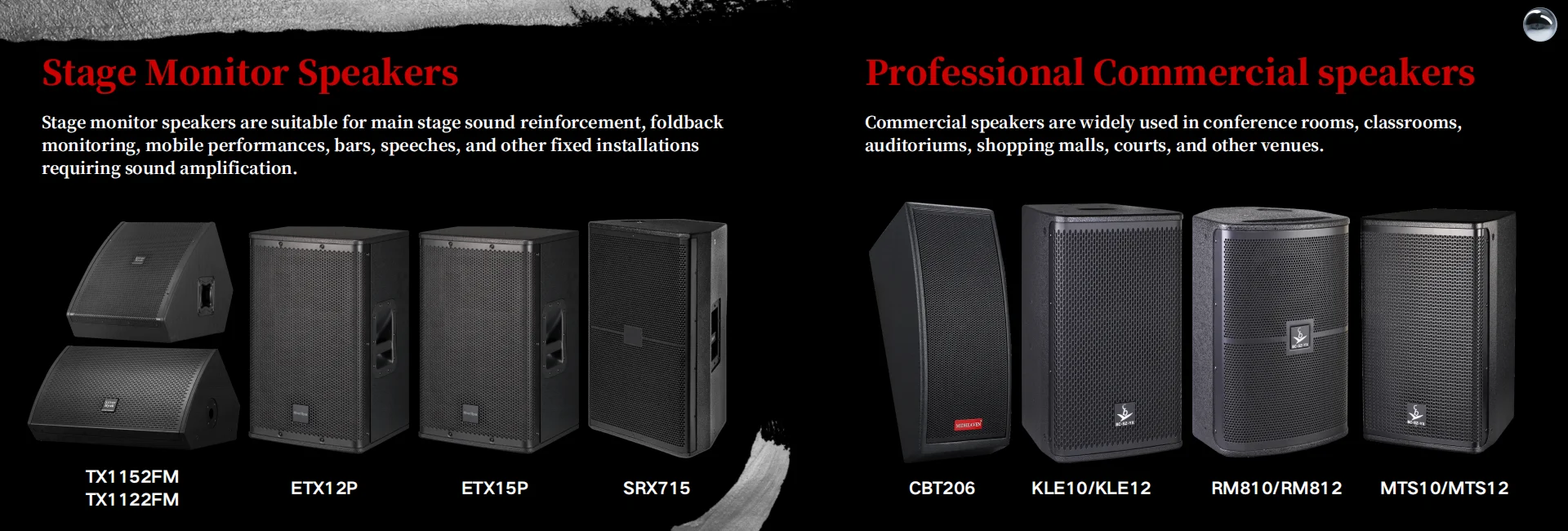 10 Inch 250W Full-Range Professional Speaker for DJs and Clubs ...