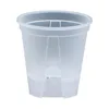 Transparente