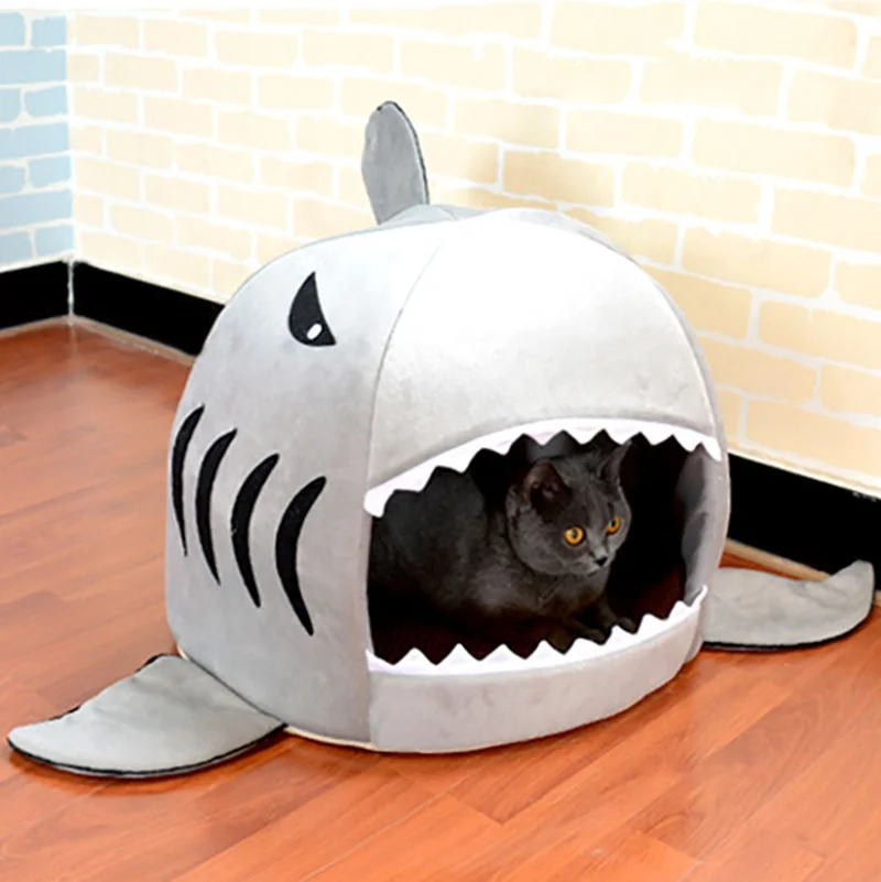 shark cat bed