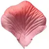 Rosa pesca