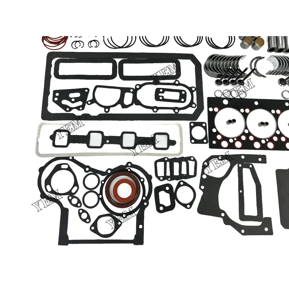 YL4102D Overhaul Kit for Yangdong Excavator Engine Part Overhaul Kit 6
