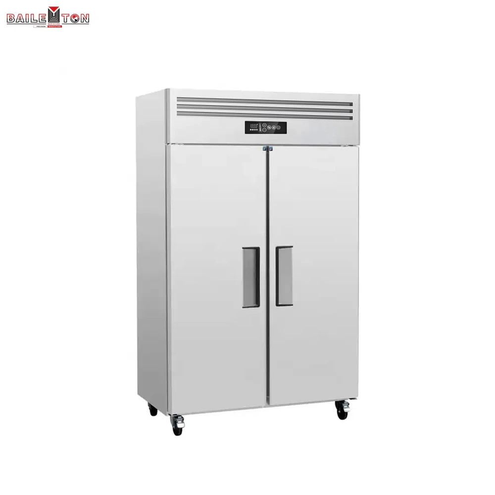 Congelatore verticale completamente refrigerato a 2 porte in acciaio inox