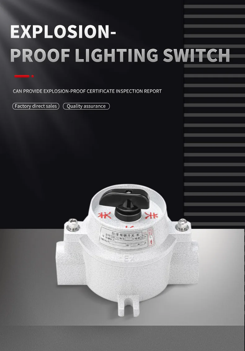 Sw10 Explosion Proof Lighting Control Switch Ex Metal Light Switch Wf2