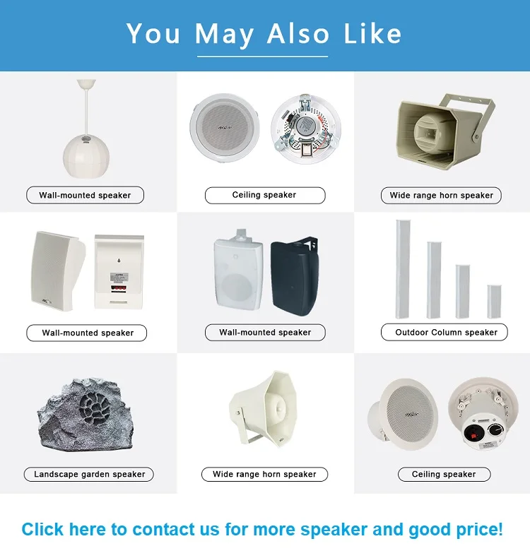 Ip Based Network Digital Broadcasting Multi Room Audio pa System Public Adress System Full Set for Church
