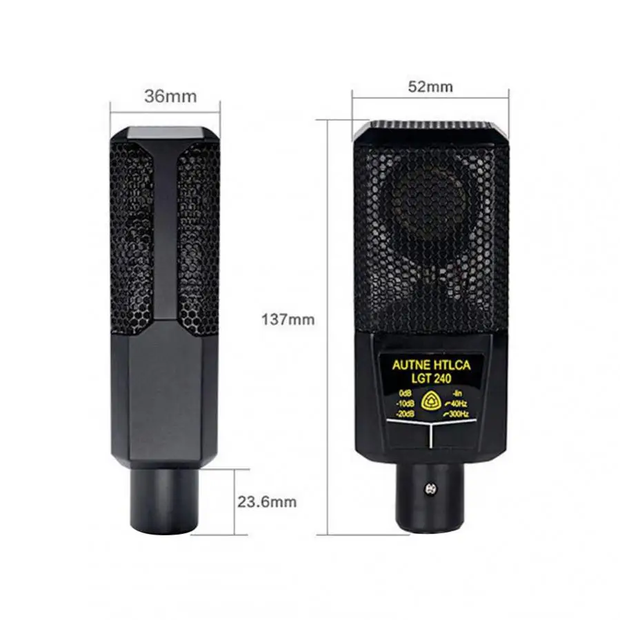 Condenser Microphone Bundle - High Cost-Effective Studio Kit