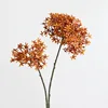 Arancione