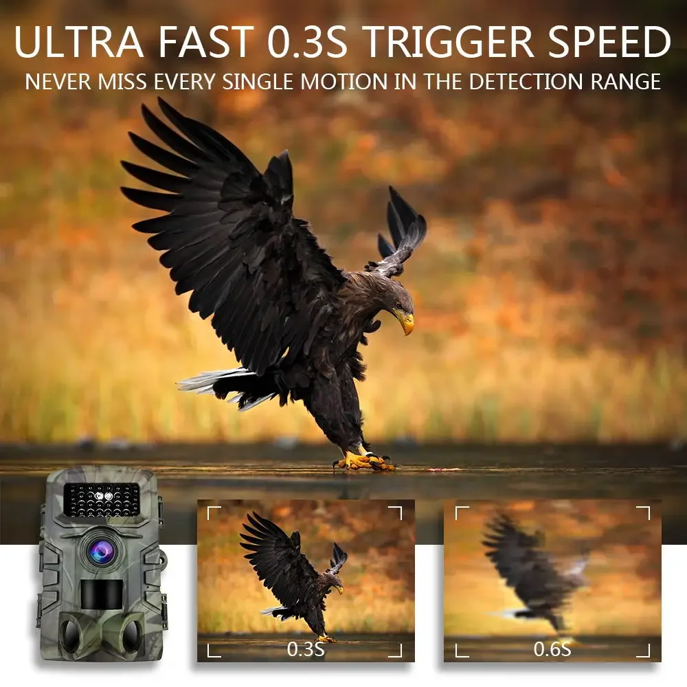 LASERSHOT  1080p First Night Hidden Camera Videos Sim Mms Gsm Remote Alarm Trail Camera