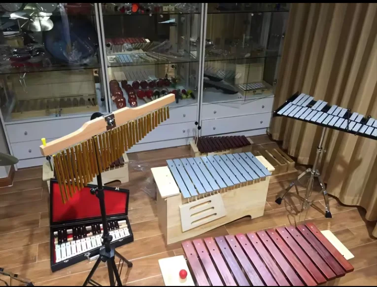 37 Tone Xylophone Percussion Instruments for Kids - Ideal for