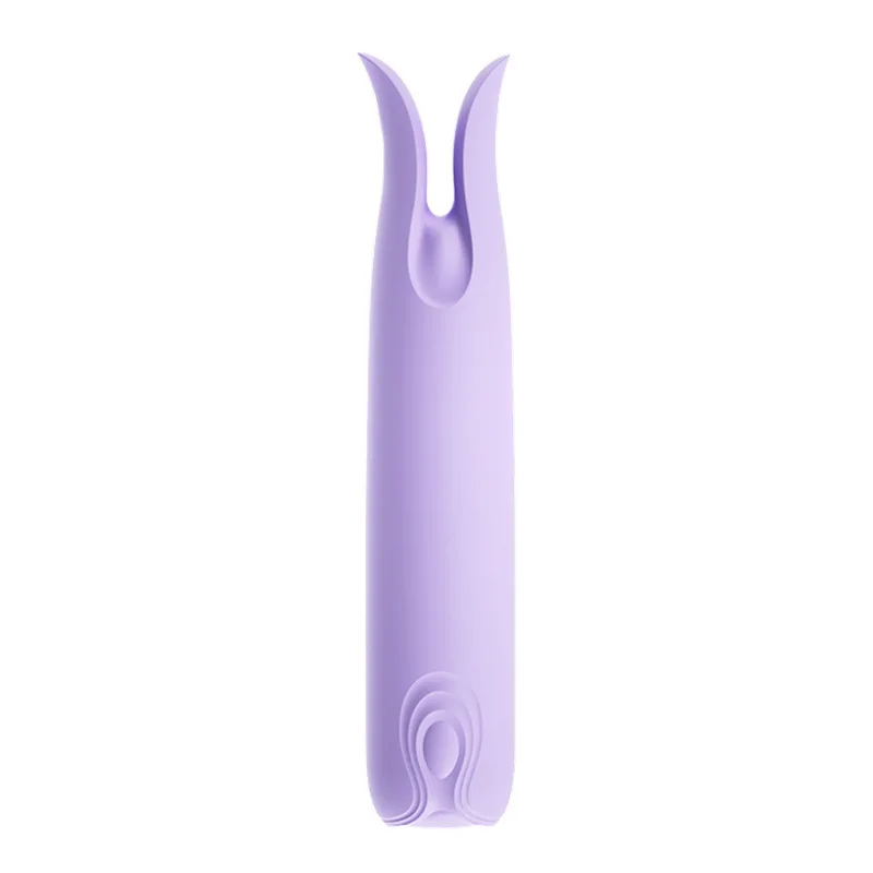 Amoura Bullet Vibrator USB charging cable and package contents