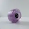 Viola