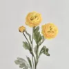 Amarillo