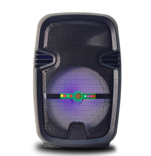 8 Inch Portable Outdoor Bluetooth Wireless Speaker System OEM