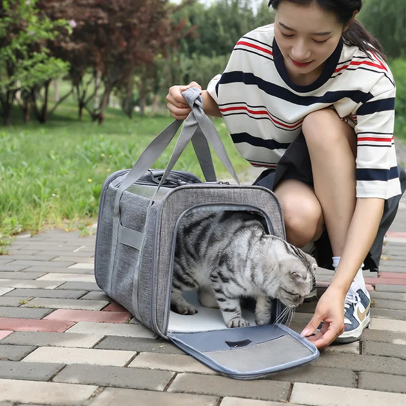 Custom Logo Airline Approved dog travel bag Foldable Portable Collapsible Puppy Pet Dog Cat Carrier Bag for Travel details